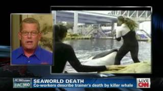 SeaWorld killer whale Tilikum dies [upl. by Okomom]