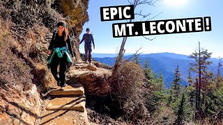 Our Favorite Smoky Mountains Hike  Alum Cave Trail to Mount LeConte  SMNP [upl. by Eyr]