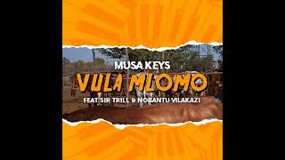 Musa Keys  Vula Mlomo Feat Sir Trill amp Nobantu Vilakazi Official Audio [upl. by Honniball]