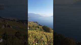 Swiss Lavaux [upl. by Haven555]