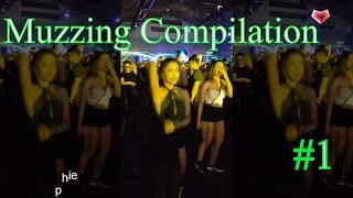 Muzzing Compilation 1 [upl. by Zug]