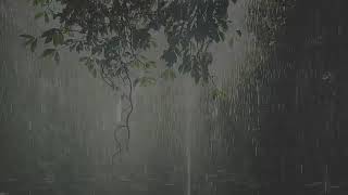 Sonidos de Lluvia y Truenos relajante para dormir 30 minutos [upl. by Yelyr]