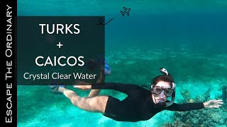 Turks and Caicos Our Best Snorkeling Experience [upl. by Goldina]