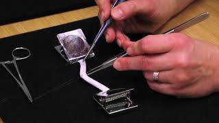 Endto End Anastomosis Tutorial  Henry Ford Health System [upl. by Neddie]