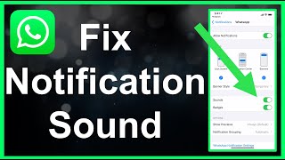 How To Fix WhatsApp Notification Sound EASY [upl. by Aicilas]