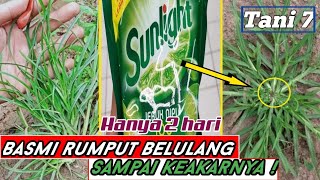 Herbisida Alami Pembasmi Rumput Liar Aman dan Ramah Lingkungan  Menggunakan Bahan Dapur [upl. by Ultann820]