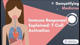 Immune Response Explained TCell Activation [upl. by Dahaf]