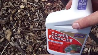 Copper Fungicideproduct review [upl. by Namref]