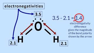 Polar Molecules Tutorial How to determine polarity in a molecule [upl. by Noma]