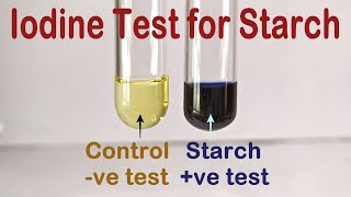 Iodine Test For Starch Practical Experiment [upl. by Aihtnys]