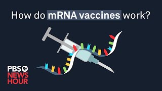 How do mRNA COVID19 vaccines work [upl. by Stark589]