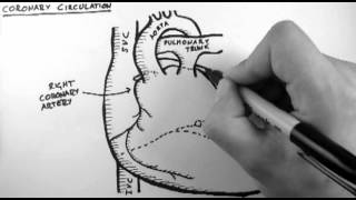 Coronary Circulation [upl. by Domenico531]