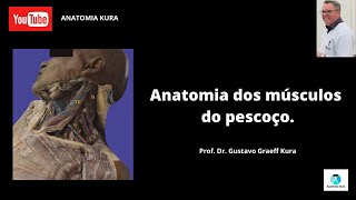 Anatomia dos músculos do pescoço [upl. by Howzell135]