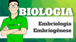 Biologia  Embriologia Embriogênese [upl. by Ojeillib]