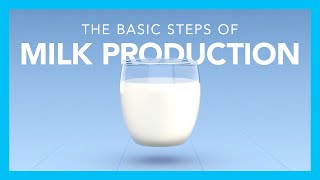 The basic steps of milk production [upl. by Arela]