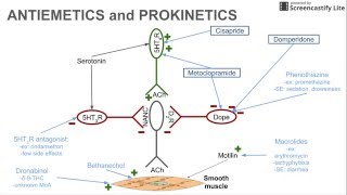 Antiemetics and Prokinetics [upl. by Aisyle]