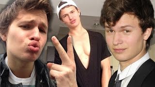 7 Times Ansel Elgort Made the Internet SWOON [upl. by Nodnerb]