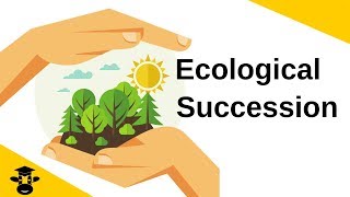 Ecological SuccessionPrimary and Secondary [upl. by Hsakaa504]