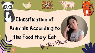 Animal Classifications According To the Food They Eat  4 Animal Groups [upl. by Heinrick634]