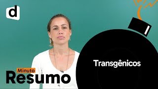 TRANSGÊNICOS  MINUTO RESUMO  DESCOMPLICA [upl. by Efinnej]