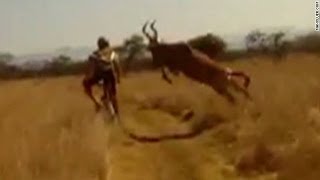 Survival of the fittest Antelope vs Cyclist edition [upl. by Astrid324]