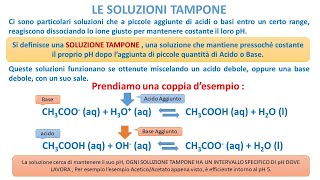 LE SOLUZIONI TAMPONE [upl. by Ainessej]