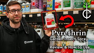 Pyrethrin Garden Insect Spray Review and How to Apply [upl. by Diannne]