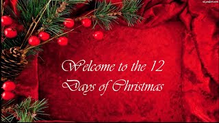 12 Days Of Christmas Lyrics [upl. by Kalina218]