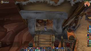 Orgrimmar Guild Master Location WoW Classic [upl. by Esilrac]