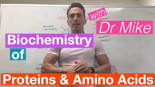 Proteins amp Amino Acids  Biochemistry [upl. by Regni]