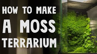 How to Make a Moss Terrarium [upl. by Nodyarg238]