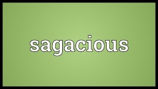 Sagacious Meaning [upl. by Hen]