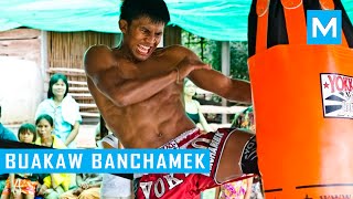 Buakaw Banchamek Hardcore Muay Thai Training  Muscle Madness [upl. by Kingsbury252]