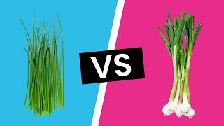 Chives vs Scallions  Whats the Difference [upl. by Cooe]