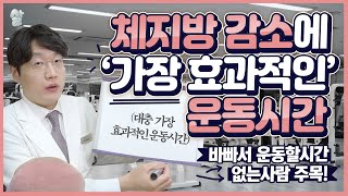 eng sub운동을 많이하면 할수록 살이 잘 빠질까feat가장 효과적 운동시간 [upl. by Inamik]