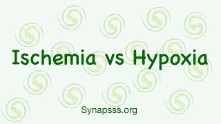 Hypoxia vs Ischemia differences definitions [upl. by Daegal466]