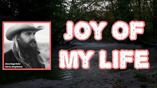 Chris Stapleton  Joy of My Life Lyrics [upl. by Jerold965]