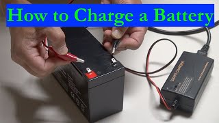 How to Charge a Batterylead acid and lithiumion batteries 2021 [upl. by Adne612]