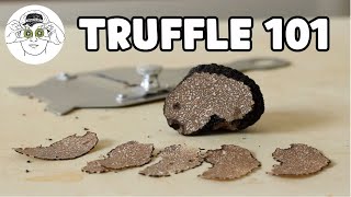 The Beginners Guide to Truffles [upl. by Seravaj]