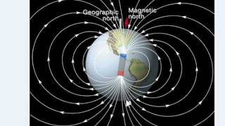 Magnetic Reversals and Sea Floor Spreading [upl. by Aniarrol]