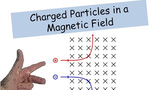 Particles in a Magnetic Field  IGCSE Physics [upl. by Thecla]