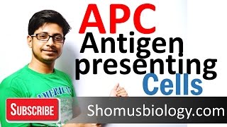 Antigen presenting cells APC [upl. by Drannel184]