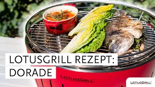 LotusGrill Rezepte gegrillte Dorade [upl. by Aikal]