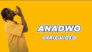 JAY BAHD  ANADWO  LYRIC VIDEO [upl. by Picker23]