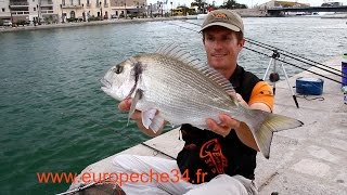 Pêche des grosses dorades de Sète par Europêche34 [upl. by Mercier]