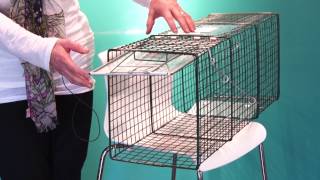 How to Set a Feral Cat Trap  Spay Neuter Charlotte [upl. by Ydda]