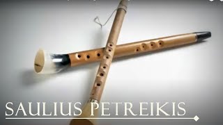 Lithuanian folk instrument Birbyne Baltic Vikings Calm Music Folk Music Saulius Petreikis [upl. by Rendrag349]