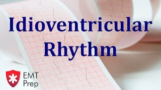 Supraventricular Arrhythmias by C LaGrasta  OPENPediatrics [upl. by Euhc]