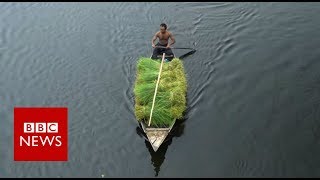 The Floating Farms of Bangladesh  BBC News [upl. by Eyks273]