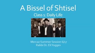 A Bissel of Shtisel pt 1  Daily Life [upl. by Llehsyar969]